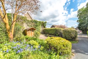 Photo 61- click for photo gallery